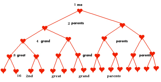 family-tree chart by Betmatrho