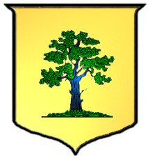 Woods coat of arms - Irish
